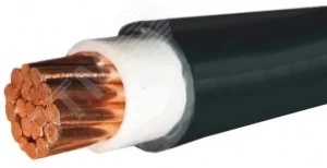 Кабель силовой ВВГнг(А)-LS 1х25,0 мк (N) -1,0 ТРТС